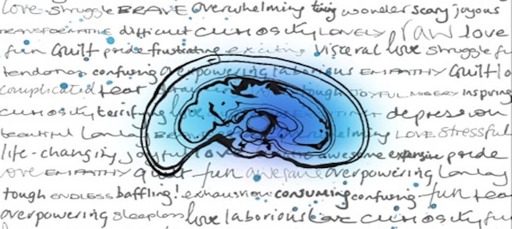 GGriffithswebsiteimage-Slider-Image